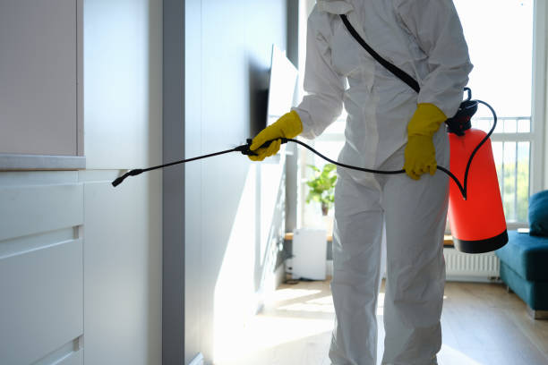 Best Residential Mold Removal  in Darby, PA