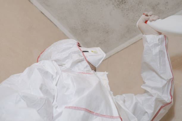 Office Mold Removal Services in Darby, PA
